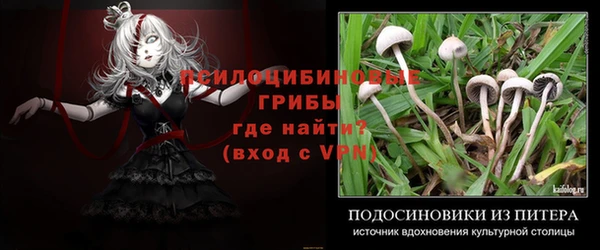 спиды Баксан