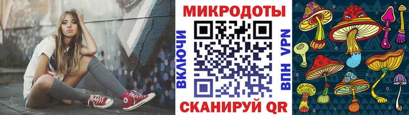 сколько стоит  Рудня  Псилоцибиновые грибы Psilocybe 